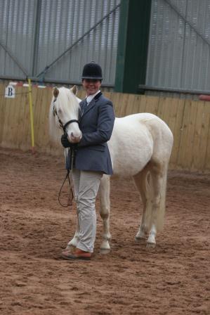 Langwedh Sunny Jim - Welsh Section B - Photo Kindly supplied by Louise Graham, Equestrian Life Magazine